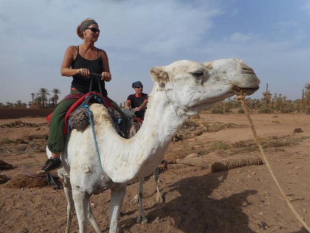 Hotel Carrefour Des Nomades M'Hamid Bagian luar foto